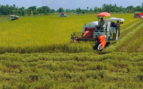 Local rice industry needs technology in preservation and processing